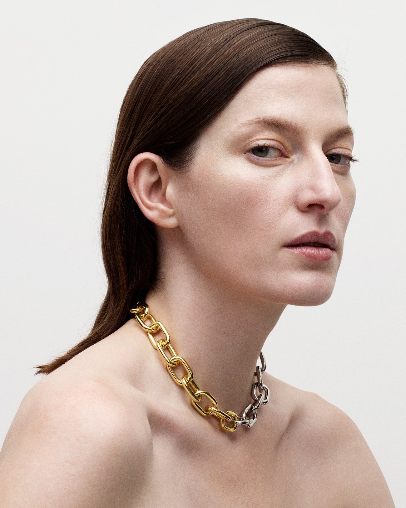 Interchangeable Link Necklace in Silver - MACHETE