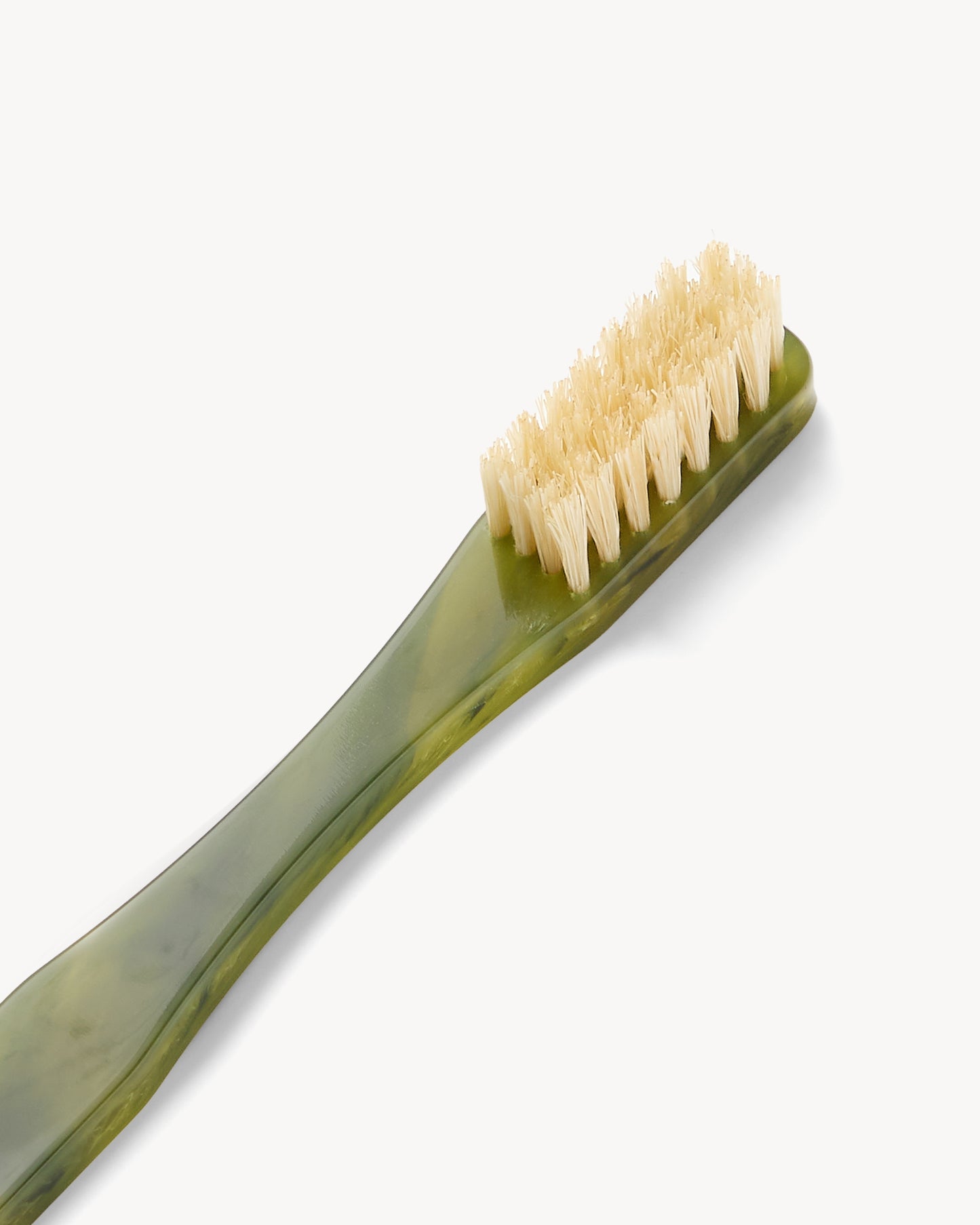 Toothbrush in Algae