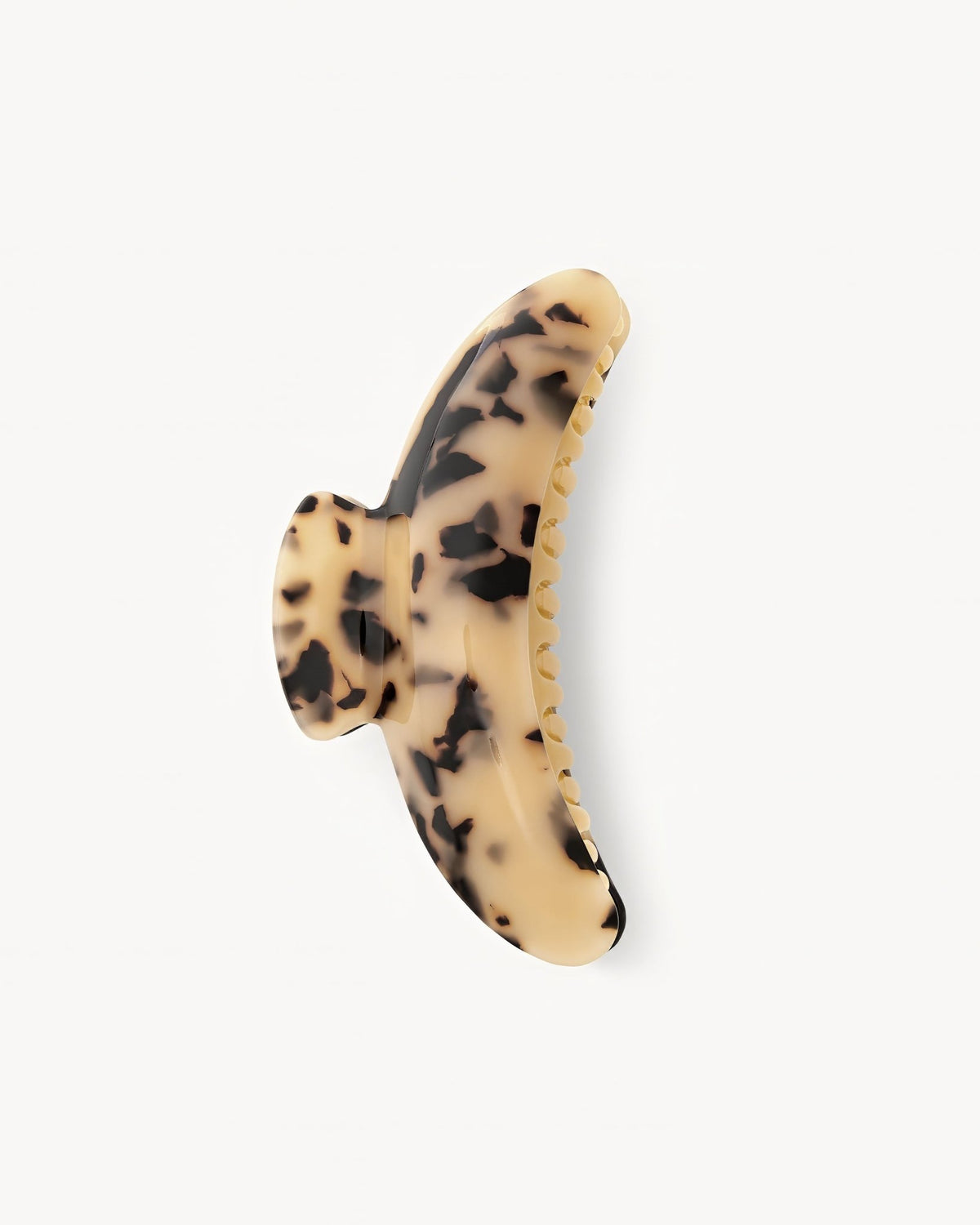Jumbo Heirloom Claw Blonde Tortoise