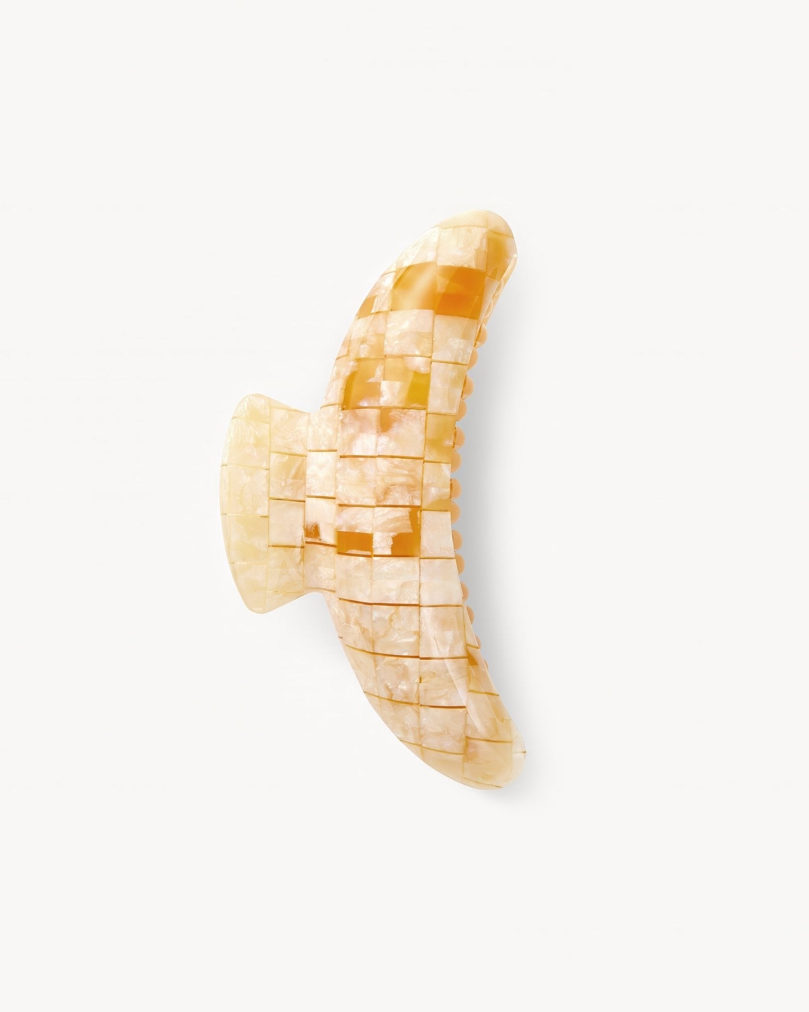 Jumbo Heirloom Claw Sea Shell Checker