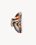 Midi Heirloom Claw in Canyon
