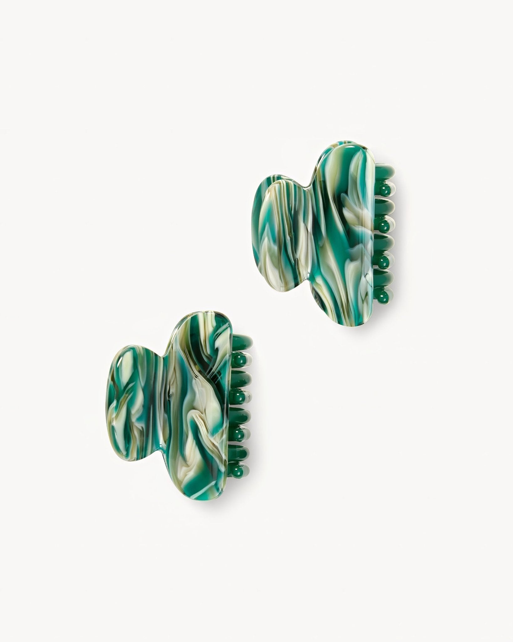 Twin Heirloom Claws Stromanthe